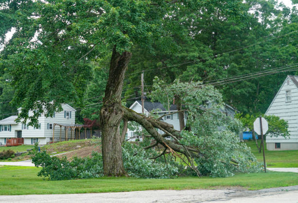 Best Tree and Shrub Care  in Columbia, TN